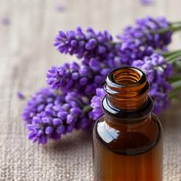 Olio essenziale e fiori di lavanda